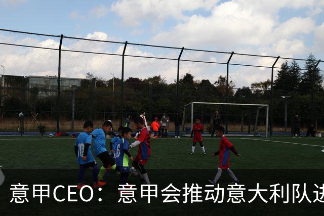 意甲CEO：意甲会推动意大利队进步 国家队低迷原因得追溯到20年前