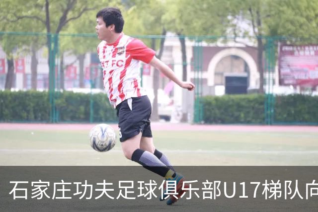 石家庄功夫足球俱乐部U17梯队向全国公开选拔招募优秀青少年球员