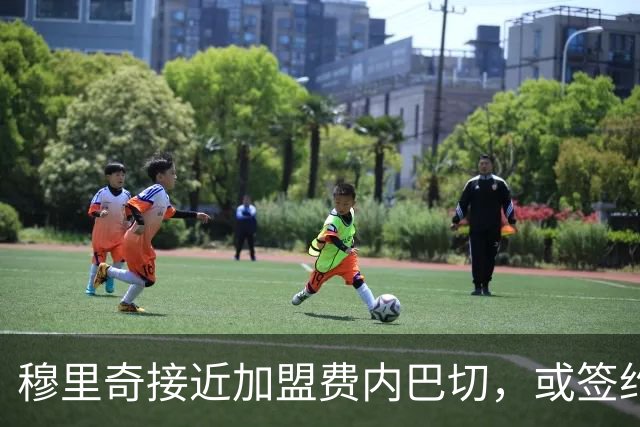 穆里奇接近加盟费内巴切，或签约至2029年