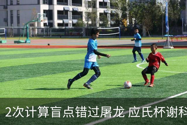 2次计算盲点错过屠龙 应氏杯谢科1点之差负一力辽